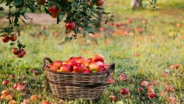 Познавательный час «Преобразователь природы»