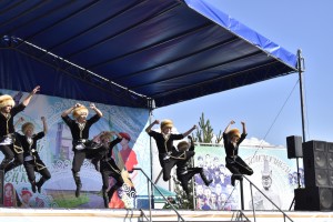 Программа «Край родной навек любимый»