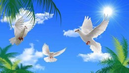 Патриотическая программа «Против экстремизма»