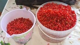 Фольклорные посиделки «Медовый, яблочный, ореховый спас»