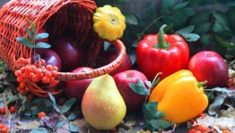 Ярмарка «Дары осени»