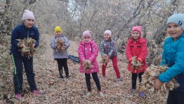 «Любимые уголки нашей малой родины»