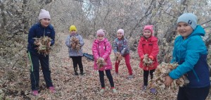 «Любимые уголки нашей малой родины»