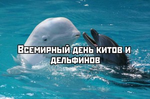 Час информации «Мир китов и дельфинов»