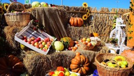 «Дары осени»