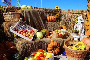 «Дары осени»