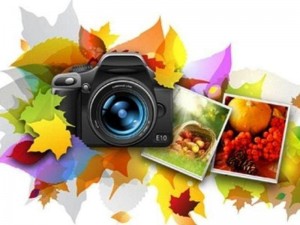 Фотовыставка «В объективе-осень»