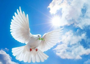 Урок мира «Как хорошо под мирным небом жить»