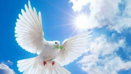 Урок мира «Как хорошо под мирным небом жить»