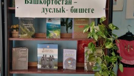Просмотр книжной литературы «Башкортостан мой край родной»