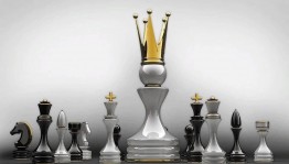 Познавательная программа «Прогулки по белым и черным полям»