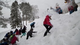 «Кувырком ,бегом,вприпрыжку» Игры на свежем воздухе.