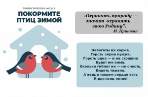 Акция «Помоги птицам зимой»