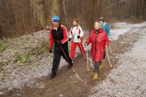 Скандинавская ходьба «Мы за ЗОЖ»