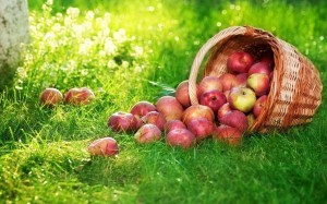 Игровая программа«Яблочный спас–яблоко припас»