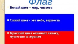 Тематический час«Белый,синий,красный»