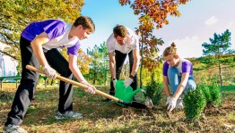 «Сохраним лес»