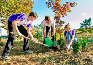 «Сохраним лес»