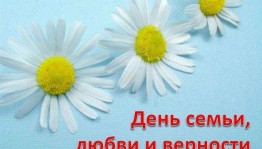 «Ромашковое счастье»