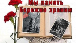 Программа «Мы память бережно храним»