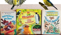 «Синичкин день»