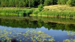 Экскурсия «Туристические тропы Башкортостана»