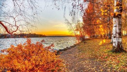 Прогулка по осеннему лесу