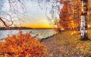 Прогулка по осеннему лесу