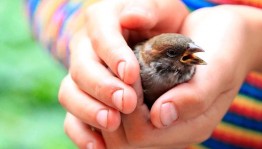 Познавательная программа «На страже леса»