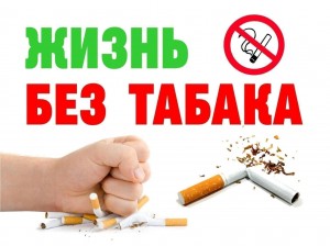 Беседа« Жизнь без табака»