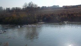Фотовыставка «Осень в деревне»