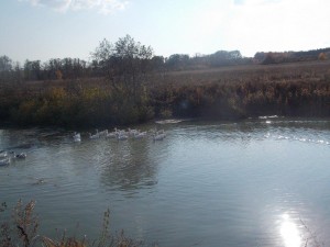 Фотовыставка «Осень в деревне»