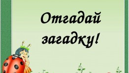 Викторина «Кто загадок много знает?»