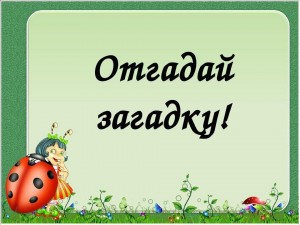 Викторина «Кто загадок много знает?»