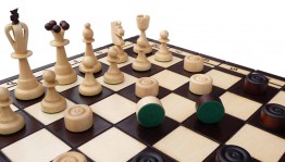 Шахматно–шашечный турнир «Ход конем»