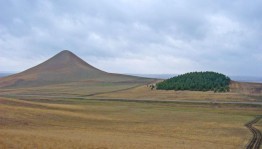 «Символы Родины моей»