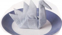 «День бумажных салфеток»