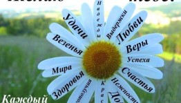 Акция «Ромашку подари, о любви скажи»