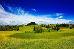 Российские народы