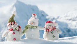 Флешмоб «День новогодних поздравлений на родном языке»