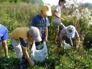 Позновательная –игровая программа«Июль травник»