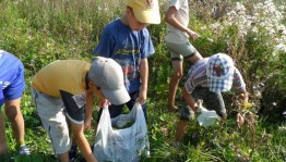 Позновательная –игровая программа«Июль травник»