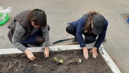 Экологическая программа «Лесные защитники»