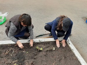 Экологическая программа «Лесные защитники»