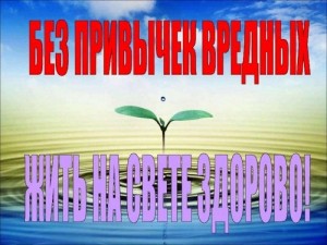 Профилактическая программа«Без вредных привычек жить на свете здорово!»