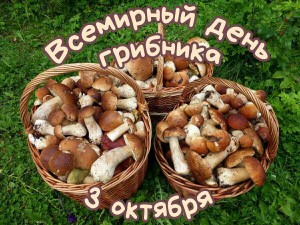 Флешмоб «Грибной день»