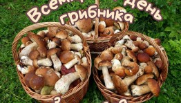 Флешмоб «Грибной день»