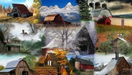 Конкурс рисунков и фотографий «Моя деревня»
