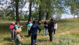 Спортивная эстафета «Веселые старты»