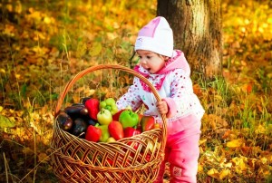 Развлекательная программа «Вот это урожай»